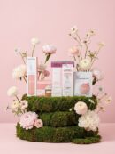 Korean Glass Skin Reseller Bundle